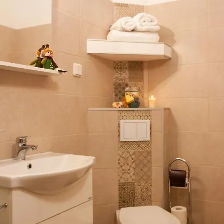 Cozy Family Апартаменти Брашов